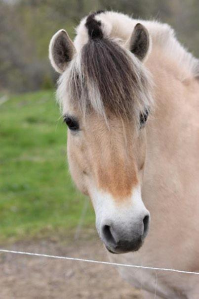 Groenelid Gard Tived Exterior foto